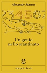 Un genio nello scantinato - Alexander Masters - 9788845987144