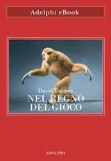 Nel regno del gioco - David Toomey - 9788845989827