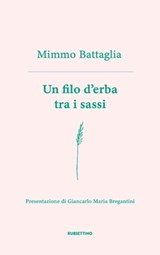 Un filo d’erba tra i sassi - Mimmo Battaglia ; Giancarlo Maria Bregantini - 9788849869033