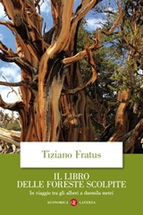 Il libro delle foreste scolpite - Tiziano Fratus - 9788858133934