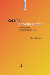 Rosarno, la rivolta e dopo - Mimmo Perrotta - 9788863573077