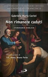 Non rimanere caduti. Le quindici malattie dell'amore cristiano secondo Papa Francesco. Itinerario biblico - Gabriele Corini - 9788892202009