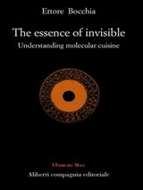 The essence of invisible - Ettore Bocchia - 9788893233583