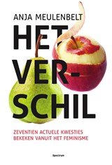 Het verschil - Anja Meulenbelt - 9789000350193