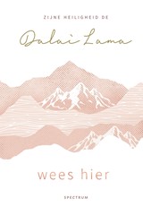 Wees hier - Dalai Lama - 9789000372188