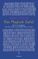 Een magisch getal - Dessie Lividikou - 9789000372379