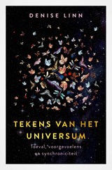 Tekens van het universum - Denise Linn - 9789020217971