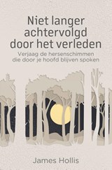 Niet langer achtervolgd door het verleden - James Hollis - 9789020220902