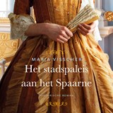 Het stadspaleis aan het Spaarne - Marja Visscher - 9789020549539