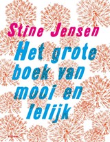 Het grote boek van mooi en lelijk - Stine Jensen - 9789020622782