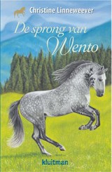 De sprong van Wento - Christine Linneweever - 9789020622942