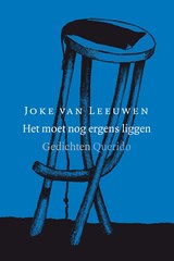 Het moet nog ergens liggen - Joke van Leeuwen - 9789021403977
