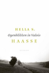 Ogenblikken in Valois - Hella S. Haasse - 9789021408255