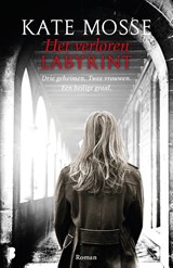 Het verloren labyrint - Kate Mosse - 9789022576601