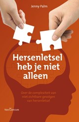 Hersenletsel heb je niet alleen - Jenny Palm - 9789023252115