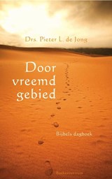 Door vreemd gebied - Pieter L. de Jong - 9789023902539
