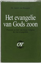 Het evangelie van Gods Zoon - Jakob van Bruggen - 9789024261352