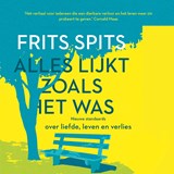 Alles lijkt zoals het was - Frits Spits - 9789024588558