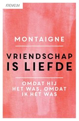 Vriendschap is liefde - Michel de Montaigne - 9789025300715