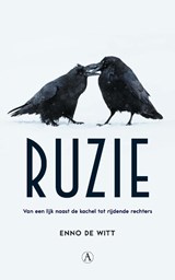 Ruzie - Enno de Witt - 9789025308353