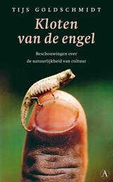 Kloten van de engel - T. Goldschmidt - 9789025366926