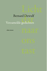 Licht dat naar ons tast - Bernard Dewulf - 9789025475260