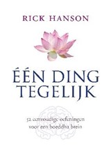 Een ding tegelijk - Rick Hanson - 9789025901967