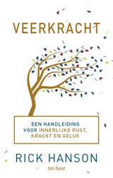 Veerkracht - Rick Hanson - 9789025906870