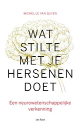 Wat stilte met je hersenen doet - Michel Le Van Quyen - 9789025907716