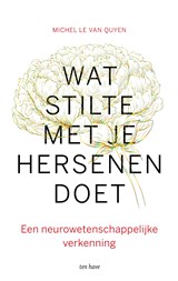Wat stilte met je hersenen doet - Michel Le Van Quyen - 9789025907723