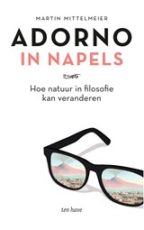 Adorno in Napels - Martin Mittelmeier - 9789025908683