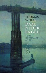 Daal neder, engel - Thomas Wolfe - 9789028280533