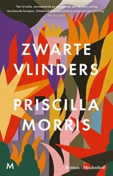Zwarte vlinders - Priscilla Morris - 9789029099011