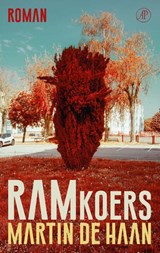Ramkoers - Martin de Haan - 9789029543316