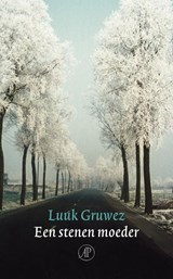Een stenen moeder - Luuk Gruwez - 9789029576642
