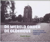 De wereld onder de Oldehove - BOERS, Erwin - 9789033008320