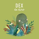 Dex de dino - R. Marcolin - 9789036650410