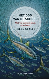Het oog van de school - Helen Scales - 9789038805382