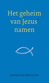 Het geheim van Jezus' namen - Jakob van Bruggen - 9789043527255