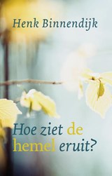 Hoe ziet de hemel eruit? - Henk Binnendijk - 9789043532112