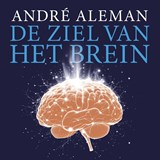 De ziel van het brein - André Aleman - 9789043543972
