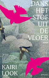 Dans het stof uit de vloer - Kairi Look - 9789044661767