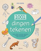 1001 dingen tekenen - Lise Herzog - 9789044767742