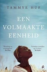 Een volmaakte eenheid - Tammye Huf - 9789044933130