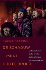 De schaduw van de grote broer - Laura Starink - 9789045028132