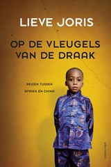 Op de vleugels van de draak - Lieve Joris - 9789045038452
