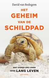 Het geheim van de schildpad - David van Bodegom - 9789045038940