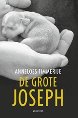 De grote Joseph - TIMMERIJE, Anneloes - 9789045704142