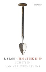 Een steek diep - F. Starik - 9789046811405