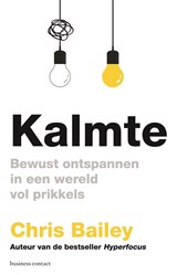 Kalmte - Chris Bailey - 9789047017189
